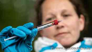 Agrar - Dresden - Kampf gegen Schweinepest: Mehr Hilfe vom Bund - Wirtschaft - SZ.de - Süddeutsche Zeitung