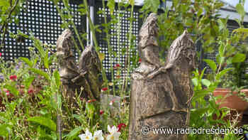 Filmfest Dresden sucht neue Kurzfilme - Radio Dresden