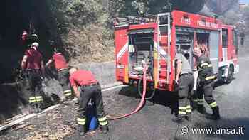 Genova, rogo sulle alture di Voltri: vigili del fuoco in azione - Liguria - Agenzia ANSA