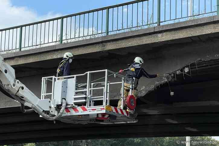 Bestuurder merkt grote scheur op in bekende ‘brokkelbrug’ op E313, die al langer probleemgeval is: wat is er aan de hand?