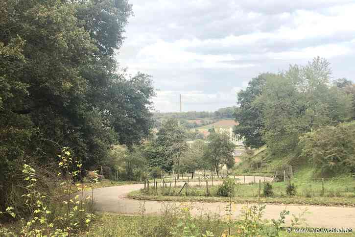 Verkeers- en coronamaatregelen moeten Benelux Tour in goede banen te leiden