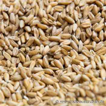 Dinkelteig nicht lange kneten - radioeuskirchen.de