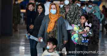 20,000 Afghans Living on US Military Bases, Tens of Thousands More 'Being Processed'