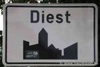 Weekend 28 en 29 augustus: werken spoor Aarschot-Leuven: tre... (Diest) - Het Nieuwsblad