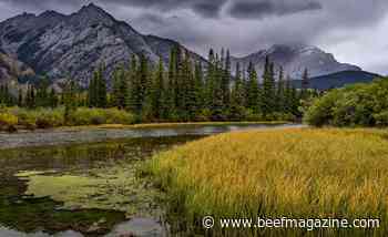 NCBA, PLC denounce administration's wilderness designations