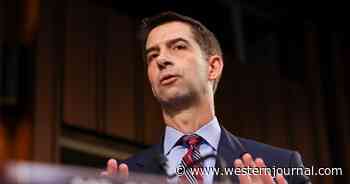 Sen. Cotton and GOP Senators Demand Answers from Biden About Failed Afghanistan Withdrawal