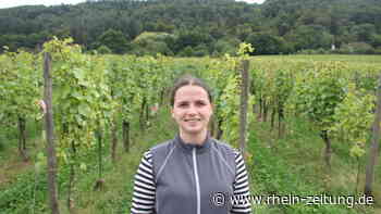 Winzer im Kreis Cochem-Zell: Feuchtes Wetter erschwert die Weinernte - Rhein-Zeitung