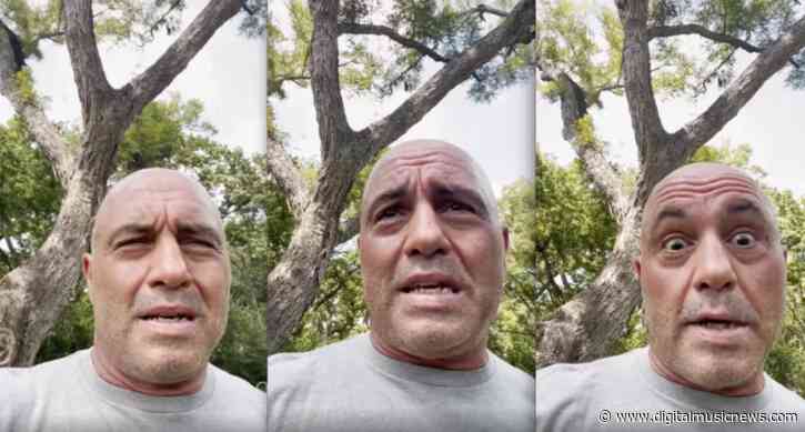 Joe Rogan Tests Positive For COVID, Is Taking Ivermectin