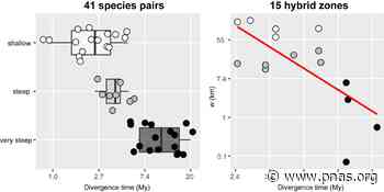 Mass of genes rather than master genes underlie the genomic architecture of amphibian speciation - pnas.org