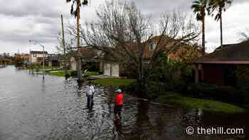 Louisiana delegation asks for additional relief funding after Ida