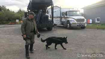 Quebec police say suspect in Amber Alert has survival skills as search drags into 3rd day