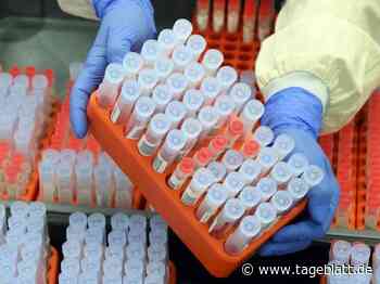 Infektionslage in Niedersachsen bleibt etwa auf Vortagsniveau - Landkreis Stade - Tageblatt-online