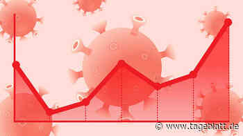 Inzidenz schießt in die Höhe: Landkreis Stade liegt über 50er-Marke - Landkreis Stade - Tageblatt-online