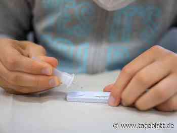 Schule startet mit täglichen Tests und Maskenpflicht - Landkreis Stade - Tageblatt-online
