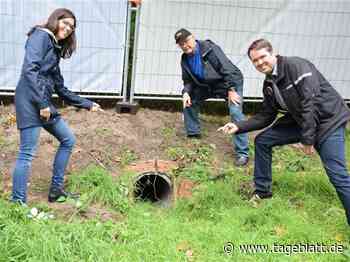 Historischer Geheimgang "Fuchsgang" wird in Stade freigelegt - Stade - Tageblatt-online