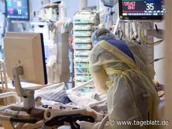 Zahl der Corona-Patienten in den Elbe Kliniken steigt - Landkreis Stade - Tageblatt-online