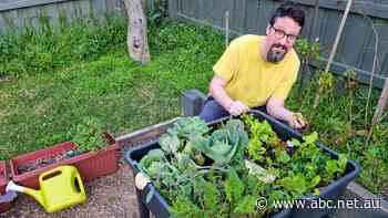 Why extra 'recharge' leave is good for you and your boss during COVID