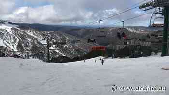 Victoria's alpine traders pray for snow business, not no business