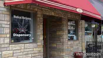 Can You Buy Medical Weed in Other States? - Lifehacker