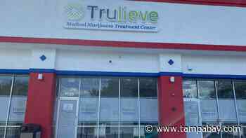 Where does Florida medical marijuana giant Trulieve go from here? - Tampa Bay Times
