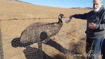 Jindabyne legend, founder of NSW's first Alpine Lakes Marine Rescue Service, retires