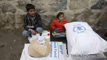 Afghanistan on verge of humanitarian ‘catastrophe,’ World Food Programme warns