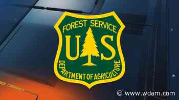 Forest Service reopens recreation areas after Hurricane Ida - WDAM