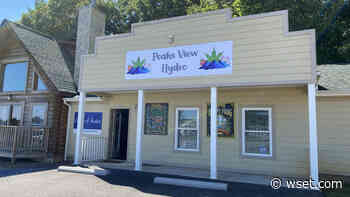 Forest couple finds new work in cannabis supplies after losing jobs during pandemic - WSET