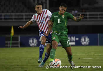 Exclusive: Paraguayan football expert delivers verdict on new Nottingham Forest gem - Nottingham Forest News