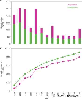 Amazonian forest degradation must be incorporated into the COP26 agenda - Nature.com