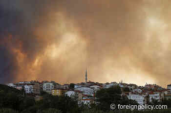 Turkey's Forest Fires Highlight AKP's Political Response to Environmental Disaster and Climate Change - Foreign Policy
