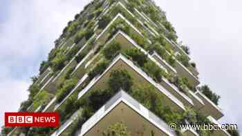 Plans for West Bromwich 'vertical forest' at cinema site - BBC News