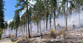 Can 'active forest management' really reduce wildfire risk? - Daily Inter Lake