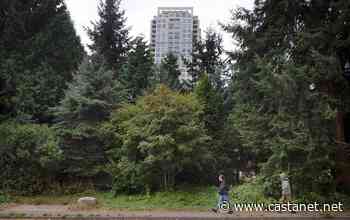 Burnaby resident campaigns to halt highrise, save forest - BC News - Castanet.net