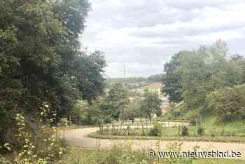 Verkeers- en coronamaatregelen moeten Benelux Tour in goede banen te leiden - Het Nieuwsblad