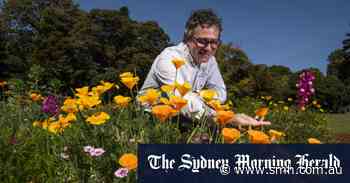 Top plants that will survive the average home gardener - Sydney Morning Herald