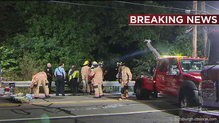 First Responders Rescue Man Who Drove Over Hillside In Castle Shannon