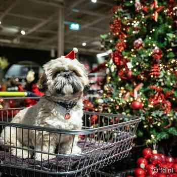 Winkelketens halen productie terug uit Azië - Het Financieele Dagblad