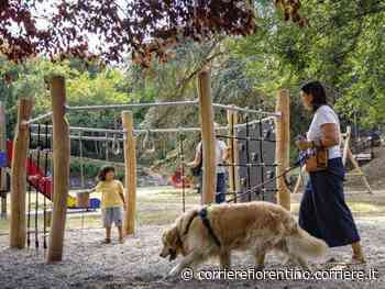 Parco della Carraia, prato e giochi a rischio: «Lì un giardino all’italiana» - Corriere Fiorentino
