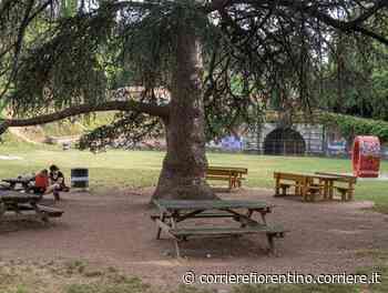 «Parco della Carraia, via il prato?». Un giardino all’italiana al posto dei giochi per i bambini - Corriere Fiorentino