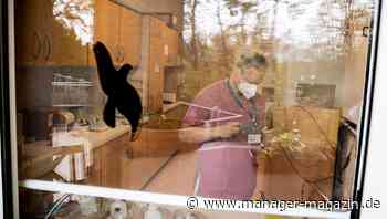 Corona-Pandemie: Arbeitgeber dürfen in sensiblen Berufen Impfstatus abfragen