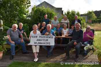 Wijnfeesten in Peizegem: “Proeven van eigen wijn” (Merchtem) - Het Nieuwsblad