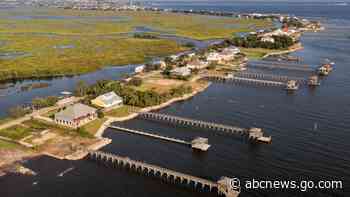 Search still on for man attacked by gator in Ida floodwaters