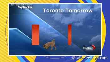 WATCH:  Dog interrupts weather forecast