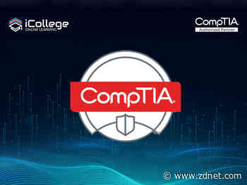 Turbocharge your network security skills to become a highly paid cybersecurity expert for just $30