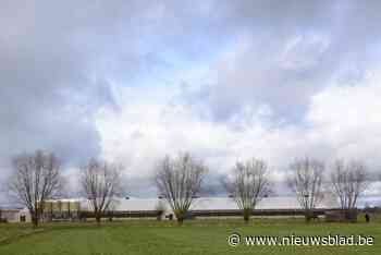 Ook minister weigert milieuvergunning van kippenkwekerij: “We hopen dat dit het einde is van vier jaar strijd”