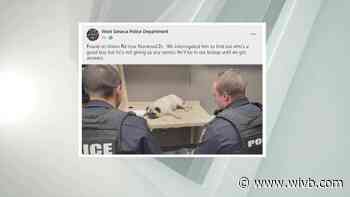 West Seneca police "interrogate" dog found on Union near Norwood