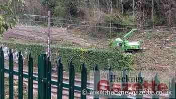 Rail operator says 'sorry' after Hackney tree-felling - Hackney Gazette