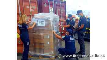 Fermo amministrativo di 588 motori elettrici al porto - il Resto del Carlino