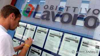 Il lavoro al Sud è fermo agli anni '90 - Today.it